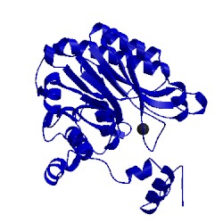 Image of CATH 4gyn