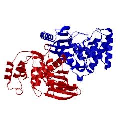Image of CATH 4h05