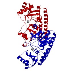 Image of CATH 4h0f