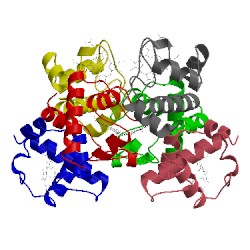 Image of CATH 4h0j