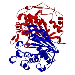 Image of CATH 4h0r