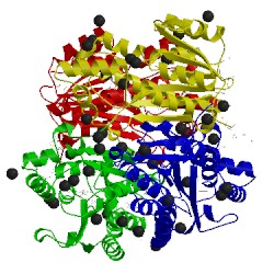 Image of CATH 4h15