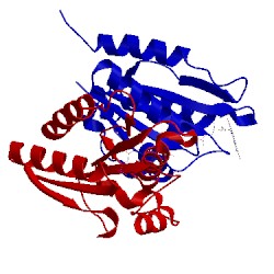 Image of CATH 4h2d