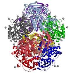 Image of CATH 4h2h