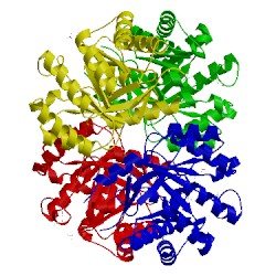 Image of CATH 4h3d