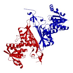 Image of CATH 4h3v