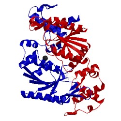 Image of CATH 4h3y