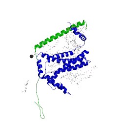 Image of CATH 4h44
