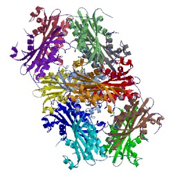 Image of CATH 4h4l