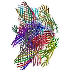 Image of CATH 4h56