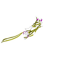 Image of CATH 4h56C00