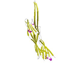 Image of CATH 4h56L00