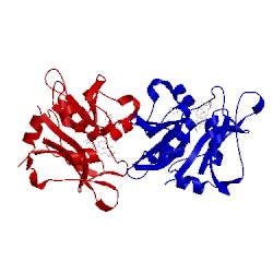 Image of CATH 4h97