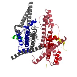 Image of CATH 4h9s