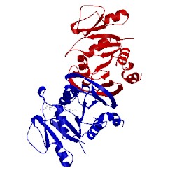 Image of CATH 4ha9