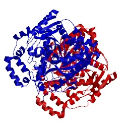 Image of CATH 4hbp