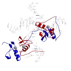 Image of CATH 4hc7