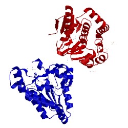 Image of CATH 4hc8