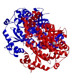 Image of CATH 4hcc