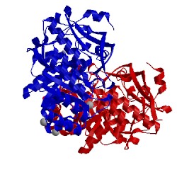 Image of CATH 4hcl