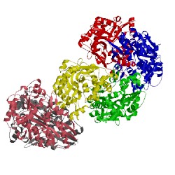 Image of CATH 4hcw