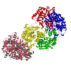 Image of CATH 4hcy