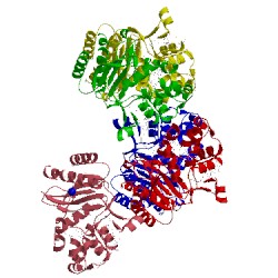 Image of CATH 4hes