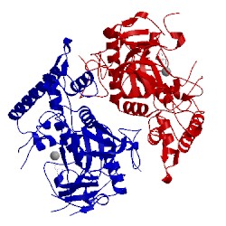 Image of CATH 4hev