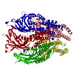 Image of CATH 4hfb