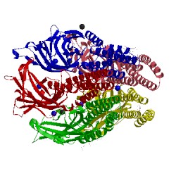 Image of CATH 4hfc