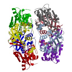 Image of CATH 4hgr