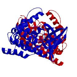 Image of CATH 4hgt