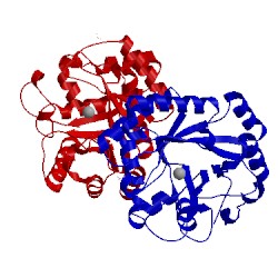 Image of CATH 4hgx
