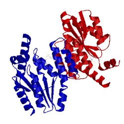 Image of CATH 4hlc