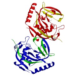 Image of CATH 4hlg