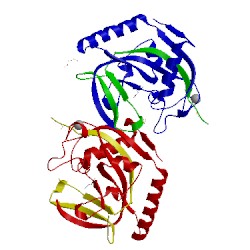 Image of CATH 4hlh