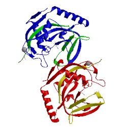 Image of CATH 4hlm