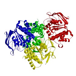 Image of CATH 4hlu