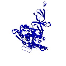 Image of CATH 4hm8