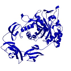 Image of CATH 4hmc