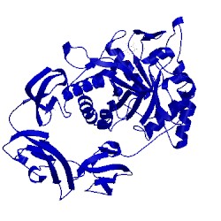 Image of CATH 4hmd