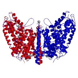 Image of CATH 4hmk