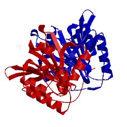 Image of CATH 4hmt