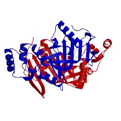 Image of CATH 4hmx