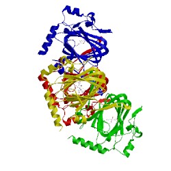 Image of CATH 4hmz