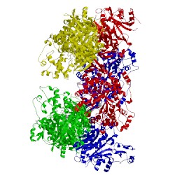 Image of CATH 4hnt