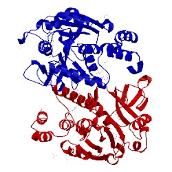 Image of CATH 4ho9