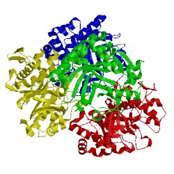 Image of CATH 4hpg