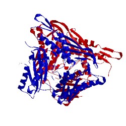 Image of CATH 4hpv