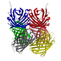 Image of CATH 4hq8